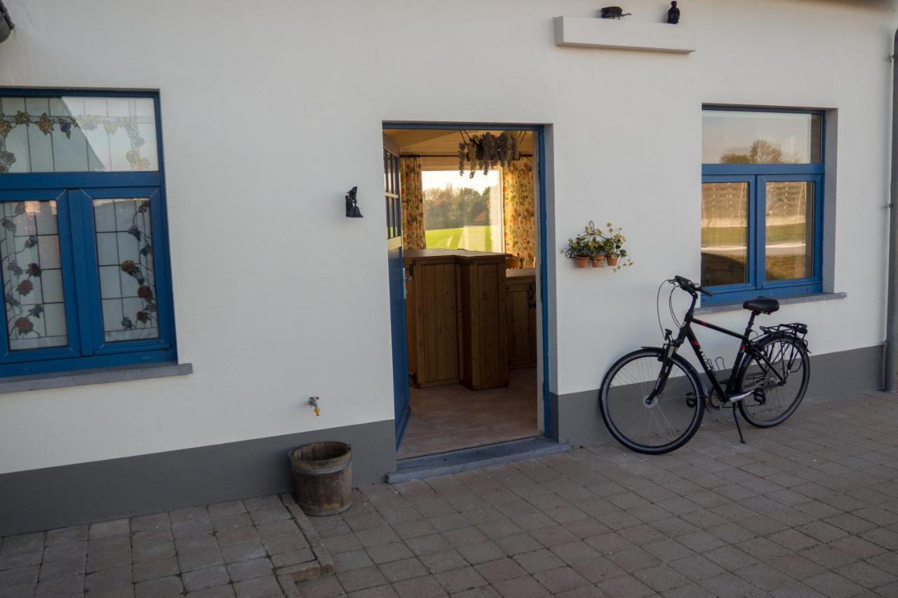 Vakantiewoning De Wilg - Rustig Gelegen Geraardsbergen Εξωτερικό φωτογραφία